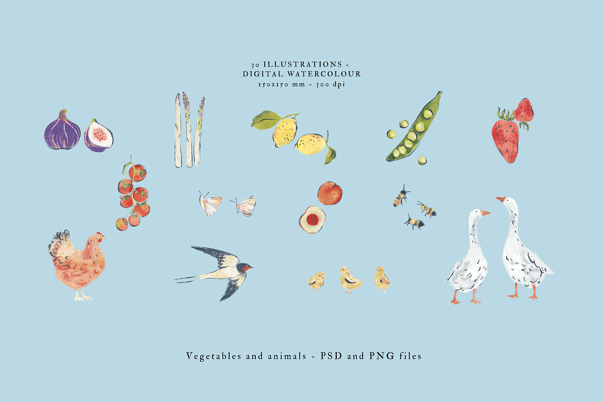 Primavera in Bottega, a Seasonal Illustration by Sara Zanello (Photo 5 of 24)