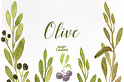 Watercolor Olive Branches and Leaves, an Illustration by Essem Creatives (Thumbnail 3 of 3)
