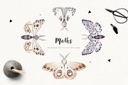 MOTHS and BIRDCAGE watercolor set, an Illustration by Natali Smolova (Thumbnail 2 of 7)
