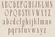 Eghton – Serif Font, a Serif Font by NDNL Studio (Thumbnail 7 of 9)