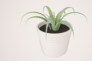 Plant n°1, an Object 3D Model by 3D Furnishing (Thumbnail 9 of 20)