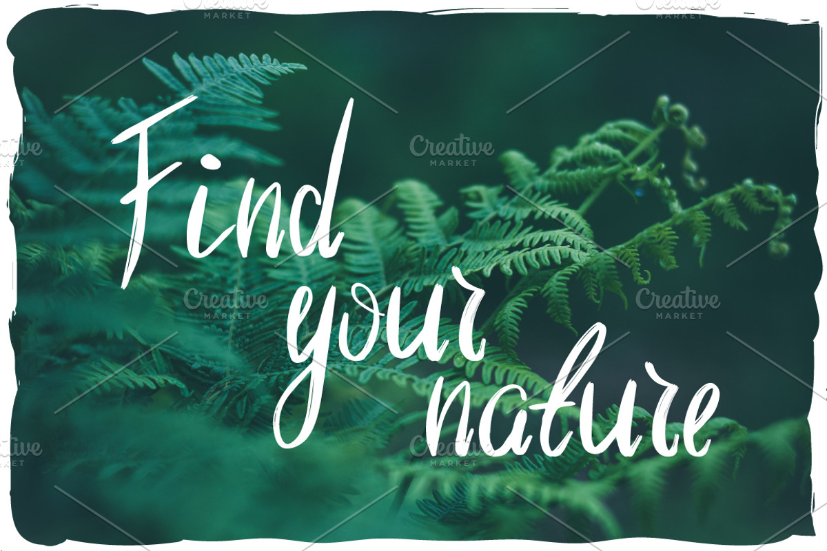 Wild Nature Script Typeface preview 2