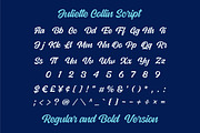 Juliette Collin - Vintage Font Famil, a Script Font by Grezline Studio (Thumbnail 10 of 13)