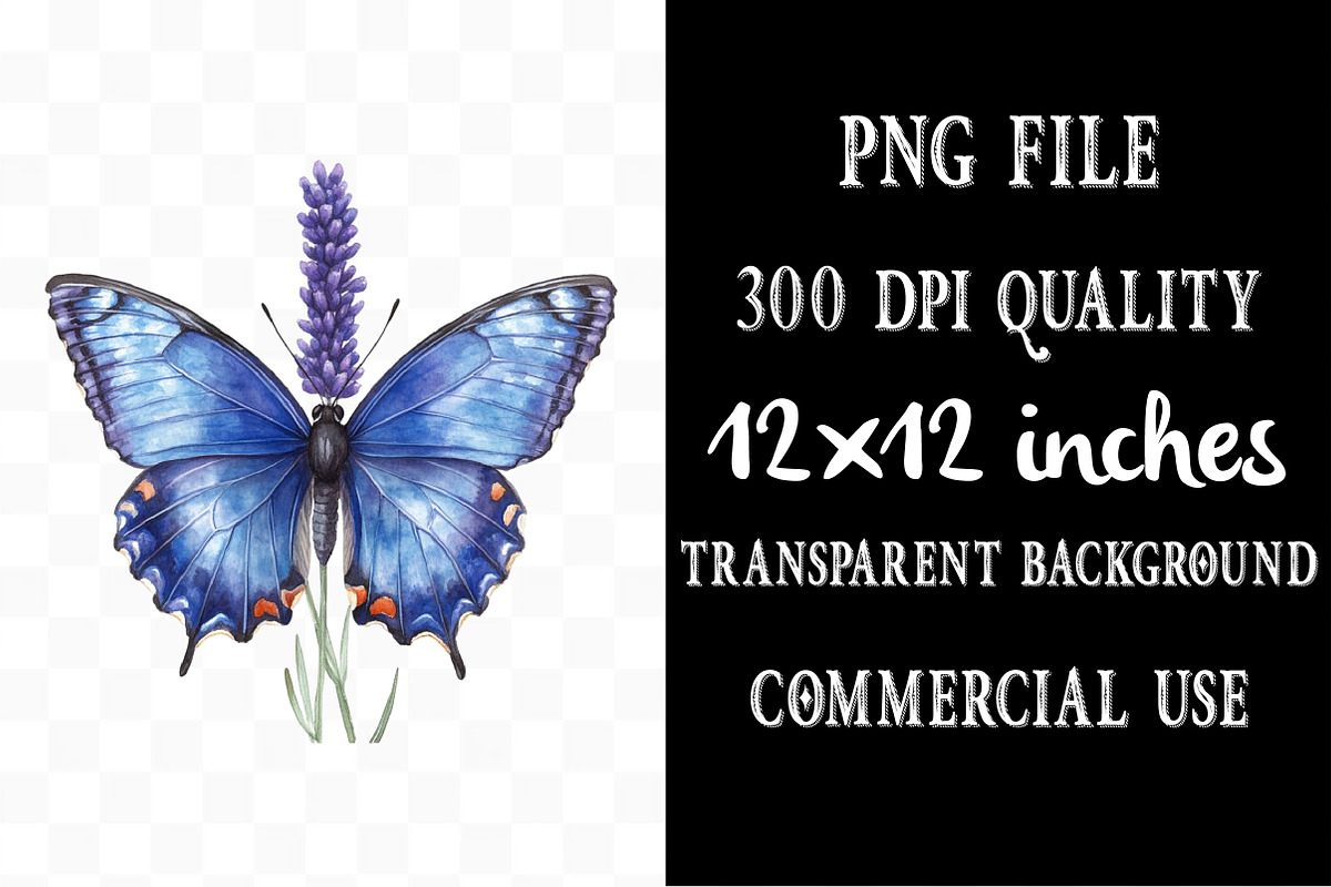 Watercolor Blue Butterfly Clipart, an Illustration by Designking (Photo 4 of 5)