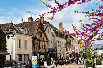 Amboise France during springtime