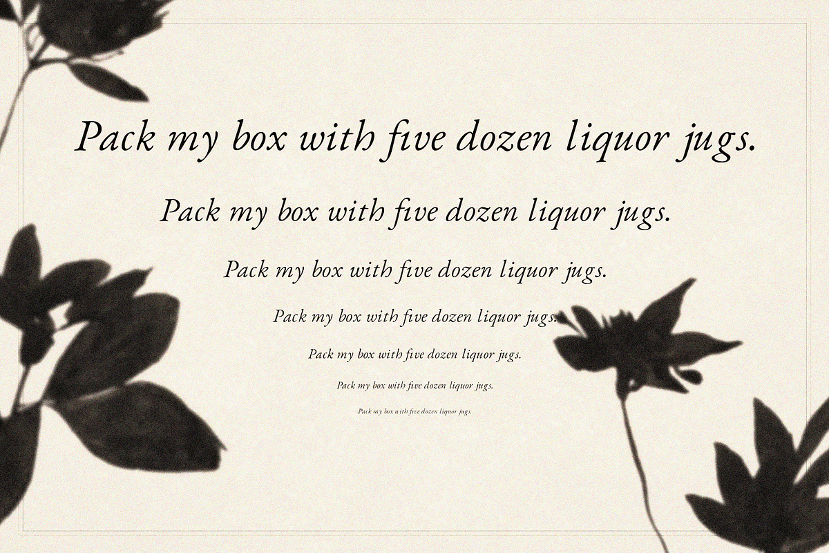 Hall Italic - Typeface, a Serif Font by Lilithcollageart (Photo 5 of 10)