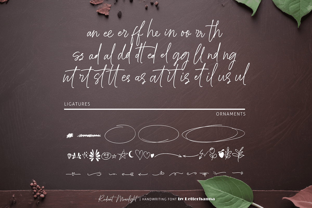 Radiant Moonlight Font, a Handwritten Font by Letterhanna Studio (Photo 7 of 15)