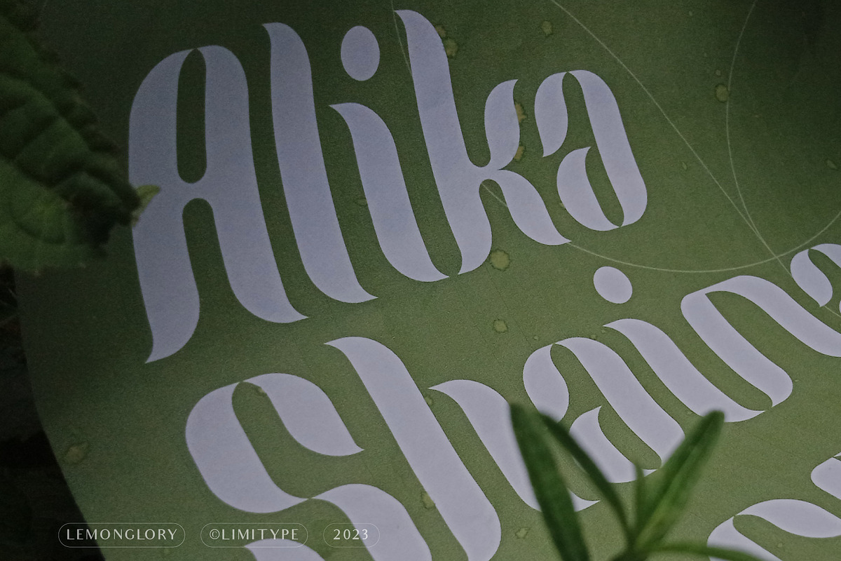Lemon Glory - Flowers Font, a Script Font by limitype (Photo 14 of 20)