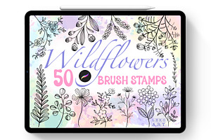 Wildflowers Brush Stamps Procreate