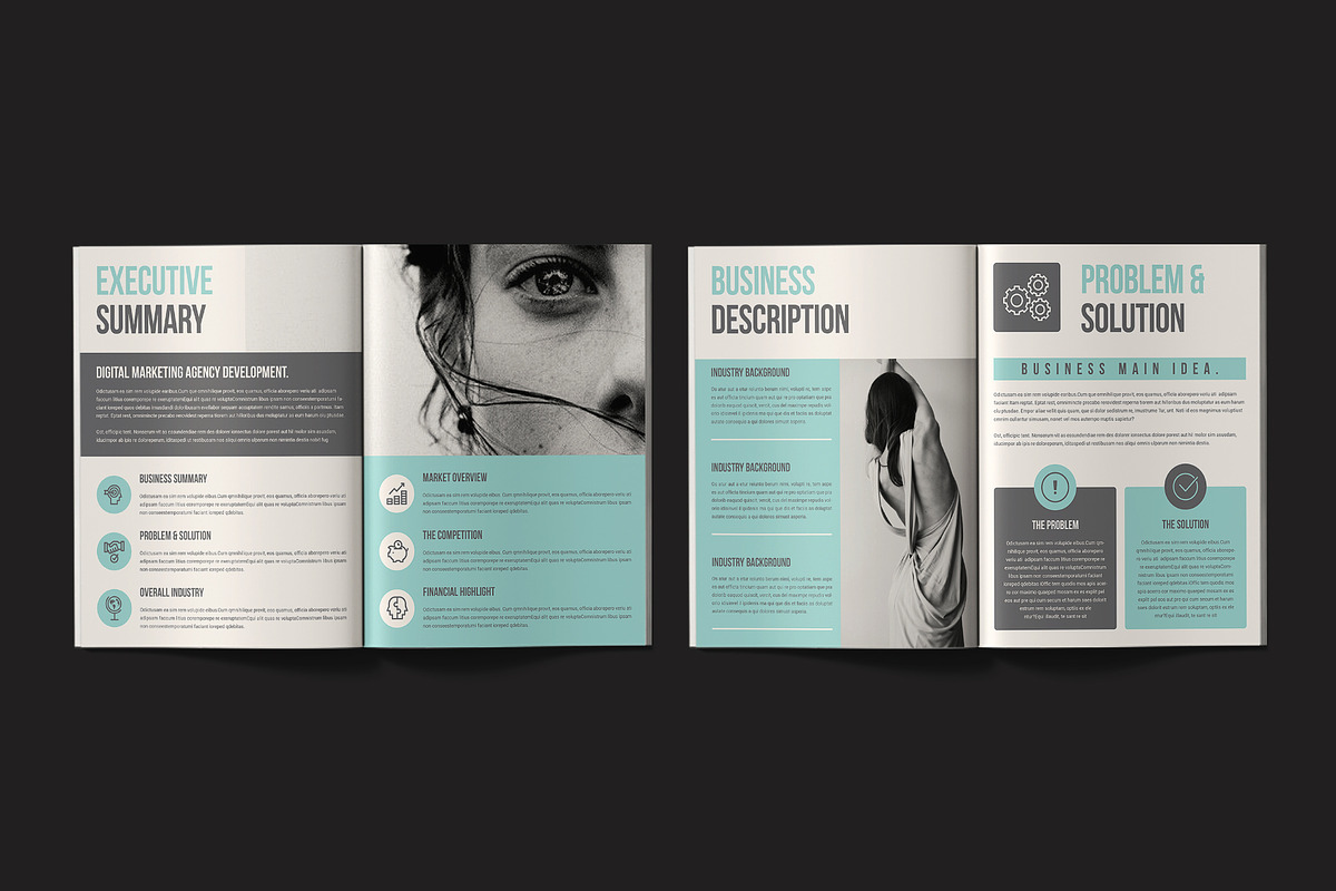 The Business Plan Brochure Template preview 3