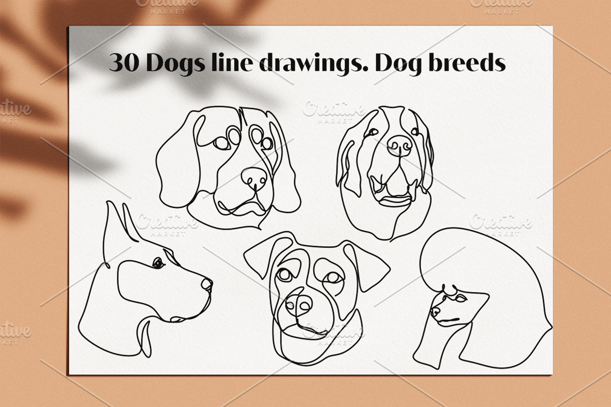 30 Dogs line drawings. Dog breeds, an Outline Icon by velychko.ua (Photo 6 of 9)