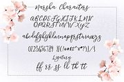 Marsha Typeface, a Script Font by Face Lab (Thumbnail 5 of 5)