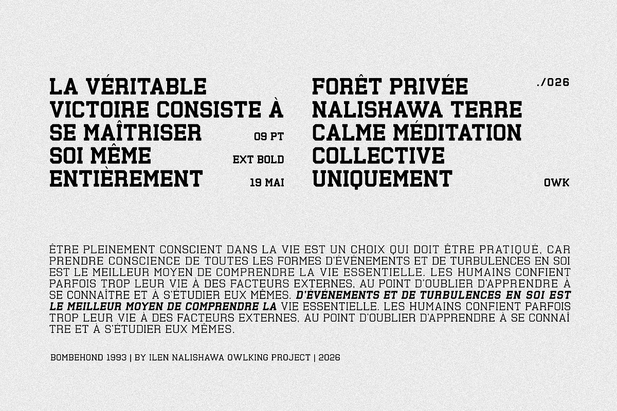 Bombehond 1993, a Sans Serif Font by OWL KING (Photo 4 of 9)