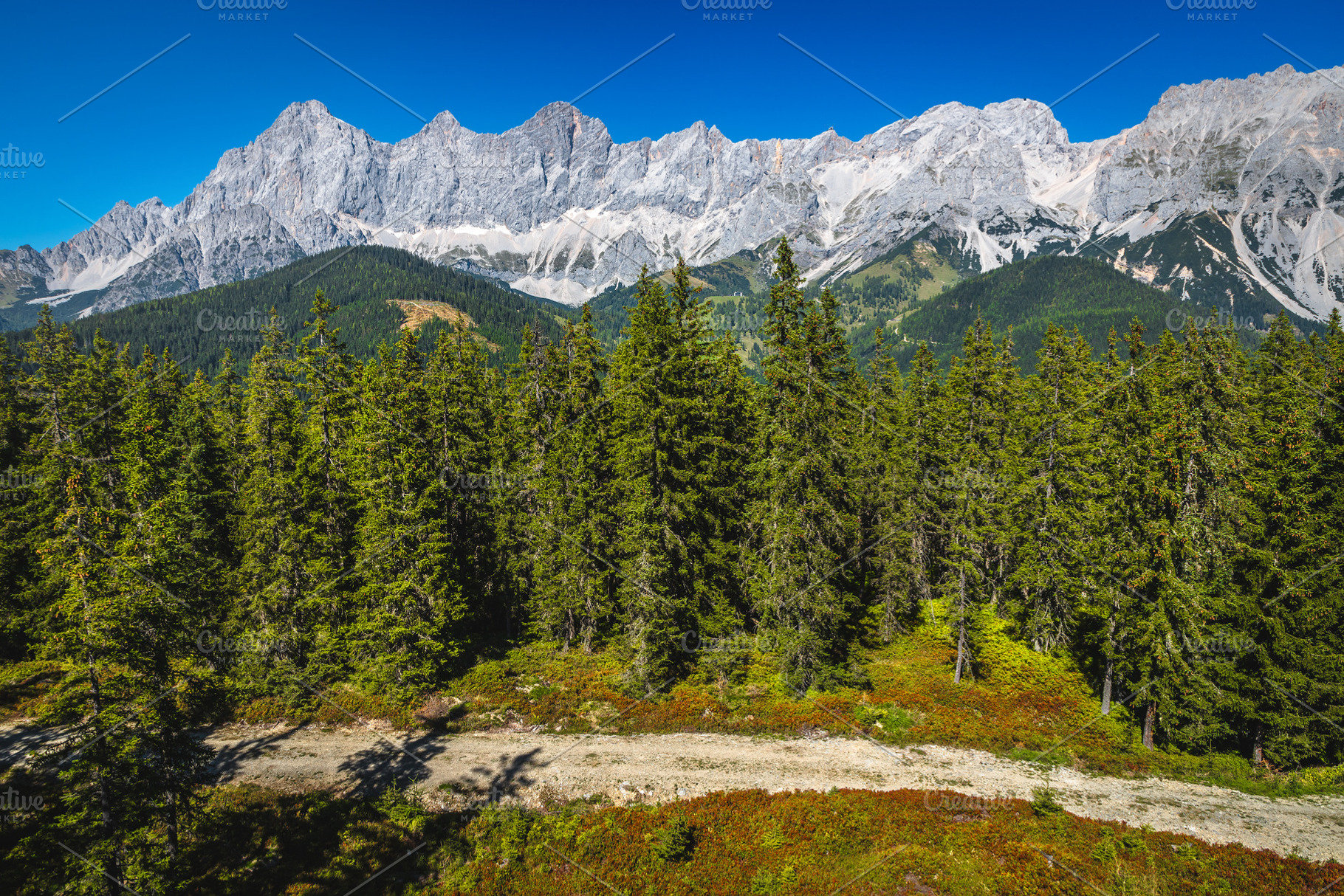 Summer scenery with high mountains, a Nature Photo by Alpine Dreams