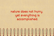 MARALO Typeface, a Serif Font by Few & Fahr Studio (Thumbnail 4 of 7)