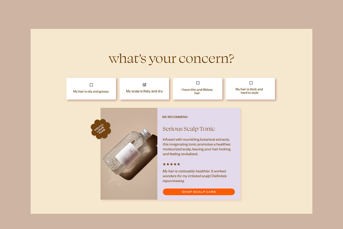 Shopify Section: Easy Product Quiz, a Shopify Template by Luna Templates (Photo 3 of 5)