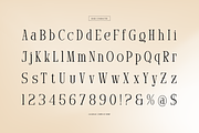 Arnnelo | Modern Display Serif, a Serif Font by gracetype_studio (Thumbnail 10 of 12)