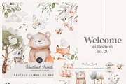 Wild Critters Library - BUNDLE, an Animal Illustration by Isabelle Salem (Thumbnail 23 of 24)
