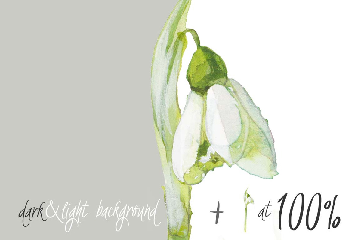 0101 Winter White, a Work Illustration by watercolorwild.graphics (Photo 5 of 10)
