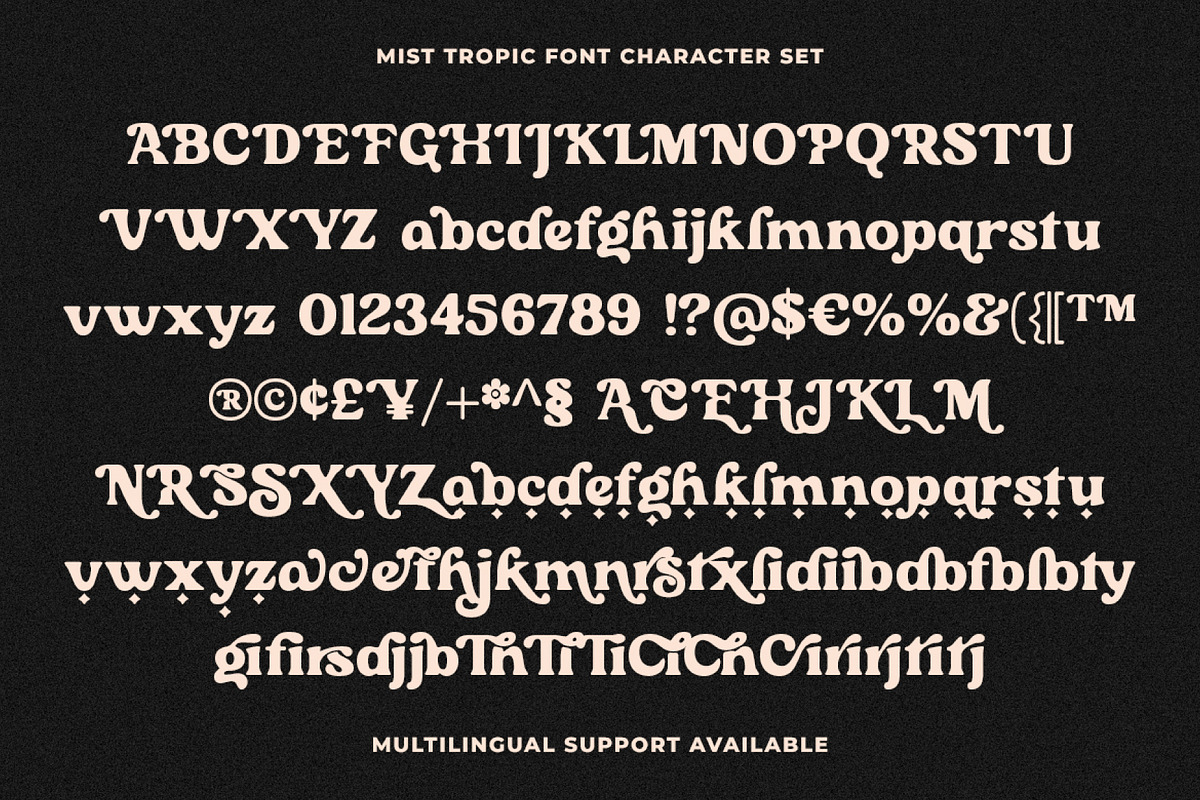 Mist Tropic - Tropic Serif Font, a Serif Font by Prioritype Co (Photo 10 of 10)