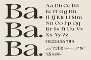 Gillian - A Modern Serif Font, a Serif Font by Marvadesign (Thumbnail 2 of 5)
