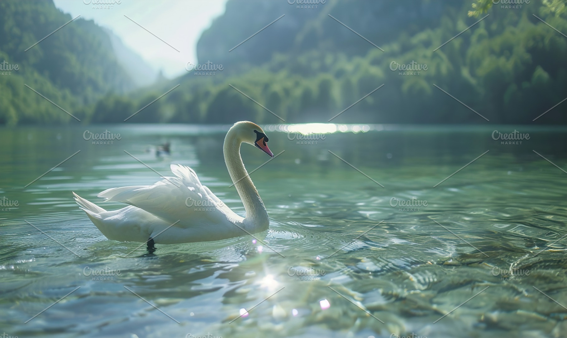 majesty of a magnificent white swan, an Animal Photo by Maylianaw28