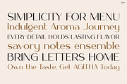 Agitha, a Serif Font by Pinisi ART (Thumbnail 4 of 10)