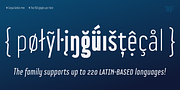 BF Corpa Gothic Pro, a Sans Serif Font by BrassFonts (Thumbnail 15 of 15)