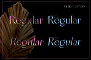 Tilaa Serif -Ligature Typeface, a Serif Font by Ryul Davidson (Thumbnail 3 of 13)