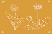 DANDELION LINE ART SET ( 7 ELEMENTS), a Healthcare Illustration by Bonfloret Studio (Thumbnail 4 of 4)