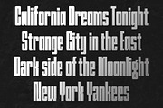 YNF Telegraph | Unicase sans serif, a Sans Serif Font by YNF (Thumbnail 14 of 20)