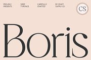 CS Boris – Elegant Font, a Serif Font by Craft Supply Co. (Thumbnail 1 of 8)