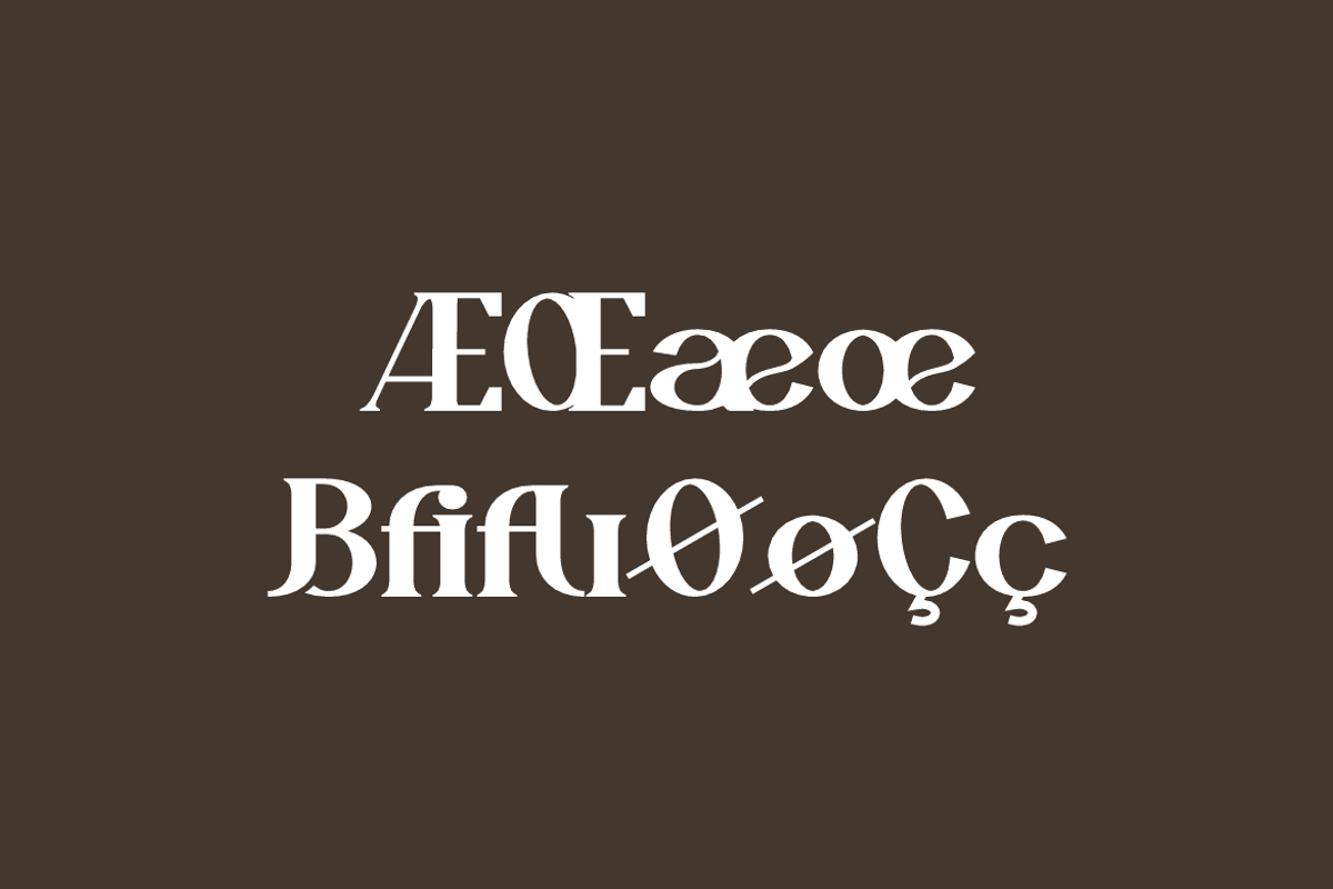 Aesthetic Mofash - Luxury Bold Font, a Serif Font by QR Design Studio (Photo 7 of 13)