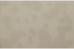 Subdued Neutral Tones Creating a, a Background Photo by Our Amazing World