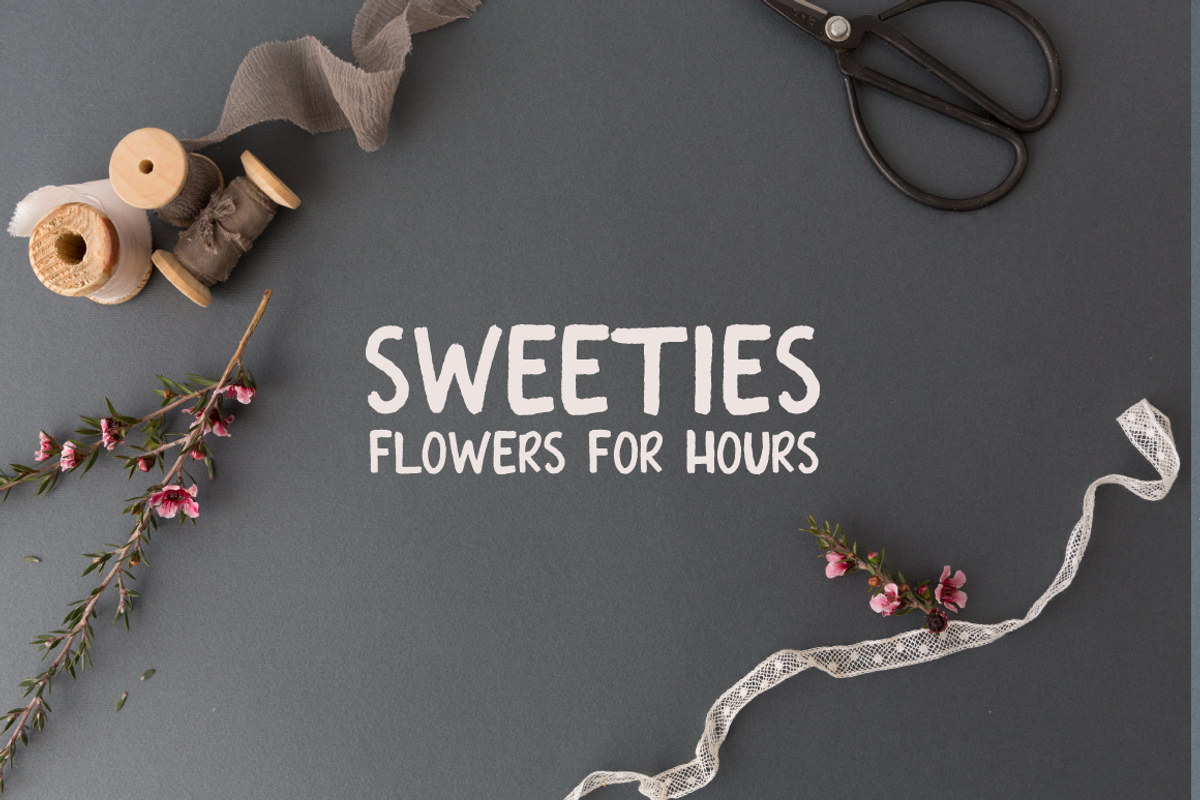 Audacious Grace Font preview 2