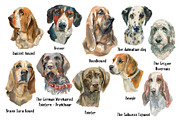 Sherlock dogs Watercolor set, an Animal Illustration by Malena (Thumbnail 2 of 6)