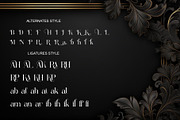 Halina Elegant Ligature Serif, a Serif Font by Alfinart (Thumbnail 9 of 10)