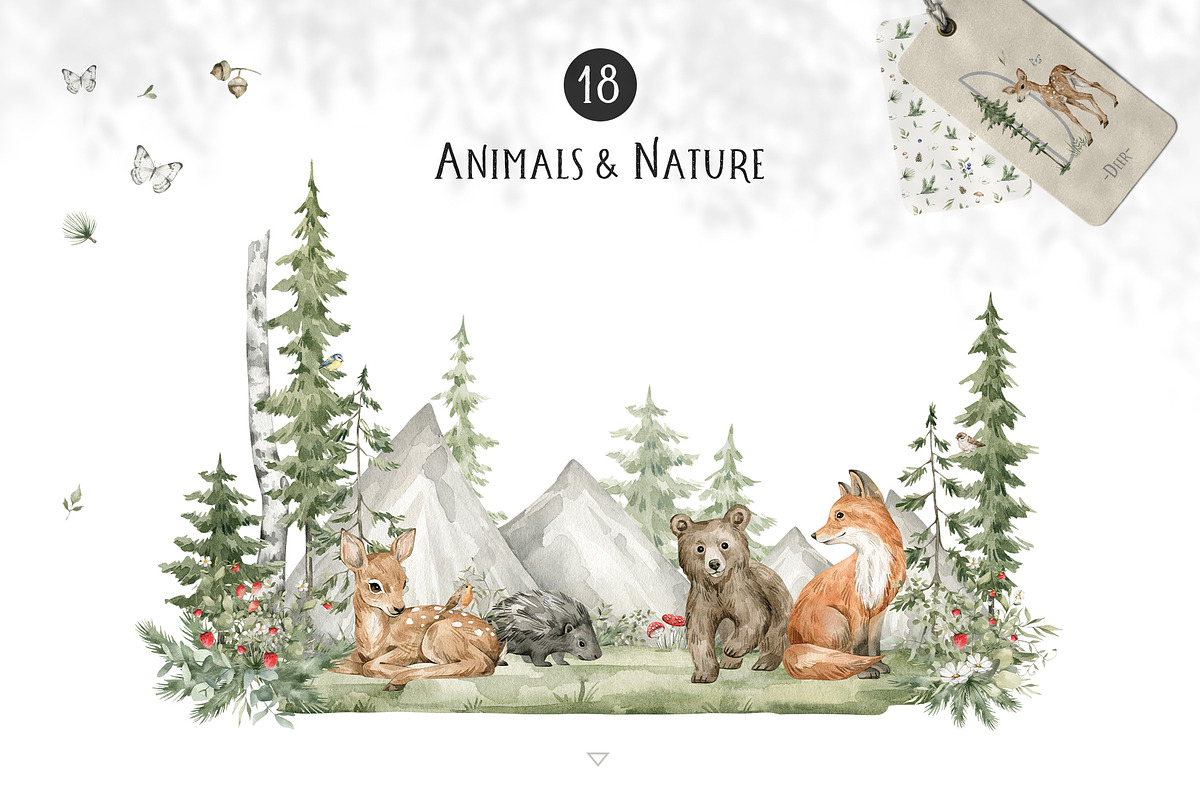 Forest Babies. Wild Animals clipart, an Animal Illustration by Kreker Kate (Photo 2 of 12)