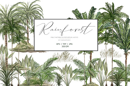 RAINFOREST, Luxury Prints!