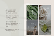 Holistic Gut Instagram Canva, a Social Media Template by Naturopath Hub (Thumbnail 2 of 5)