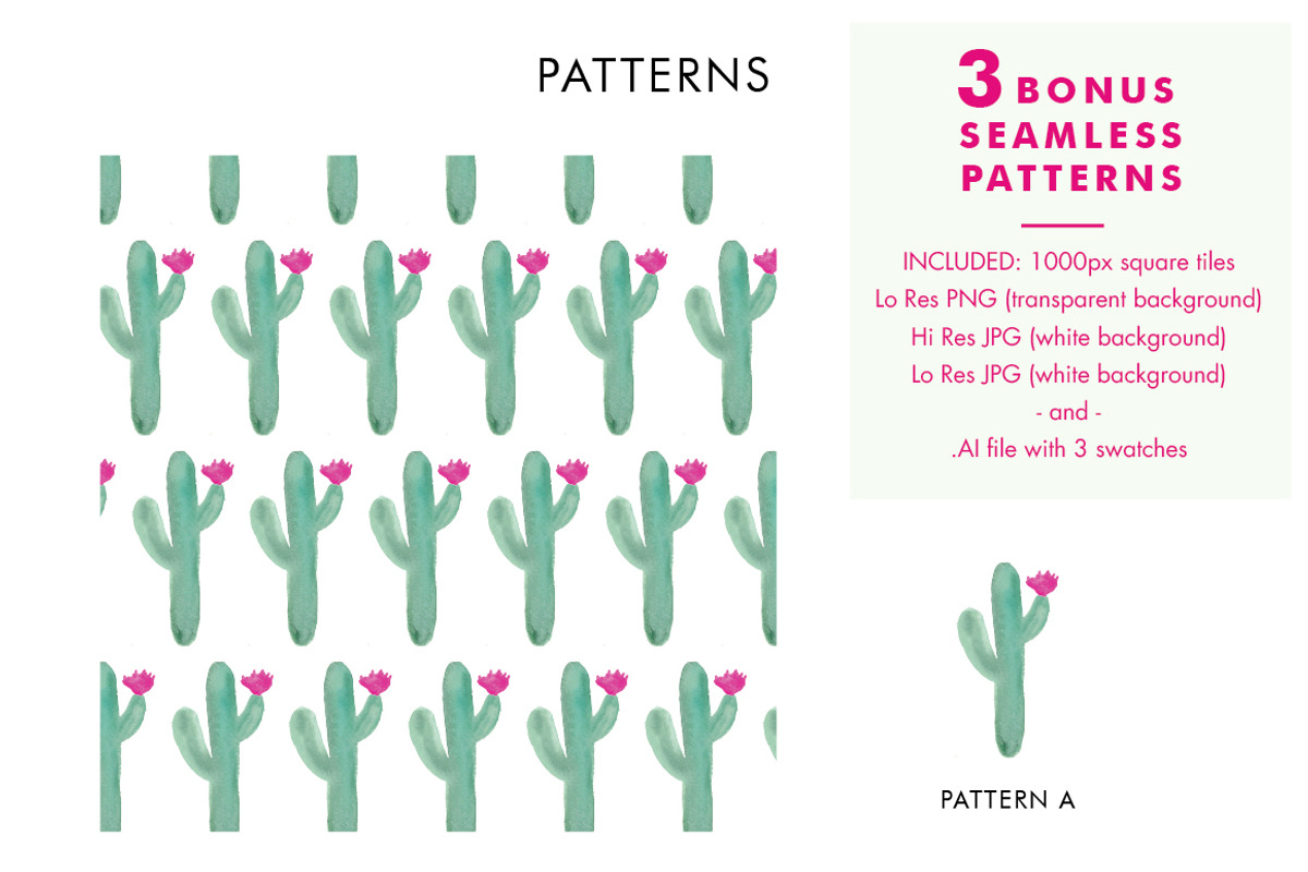Watercolor Succulents and Cactus, an Illustration by Erika Firm (Photo 5 of 5)