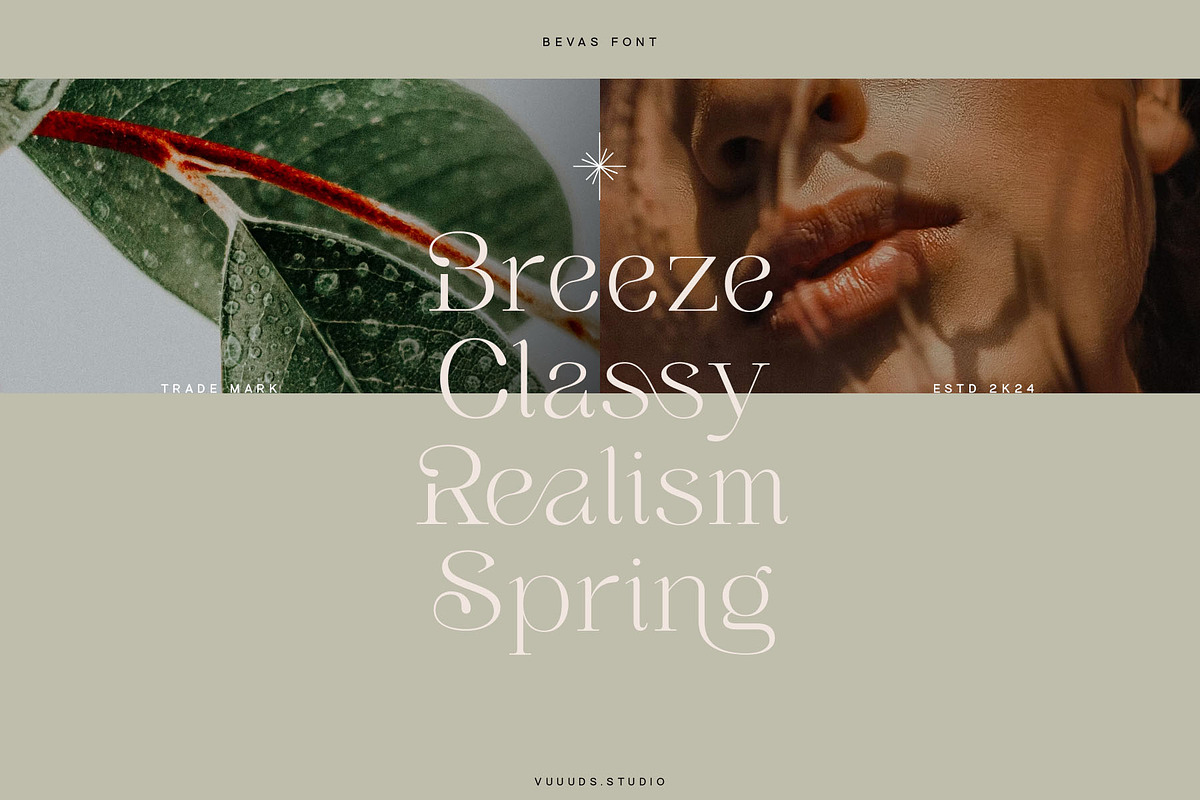 Bevas, a Serif Font by vuuuds (Photo 6 of 12)