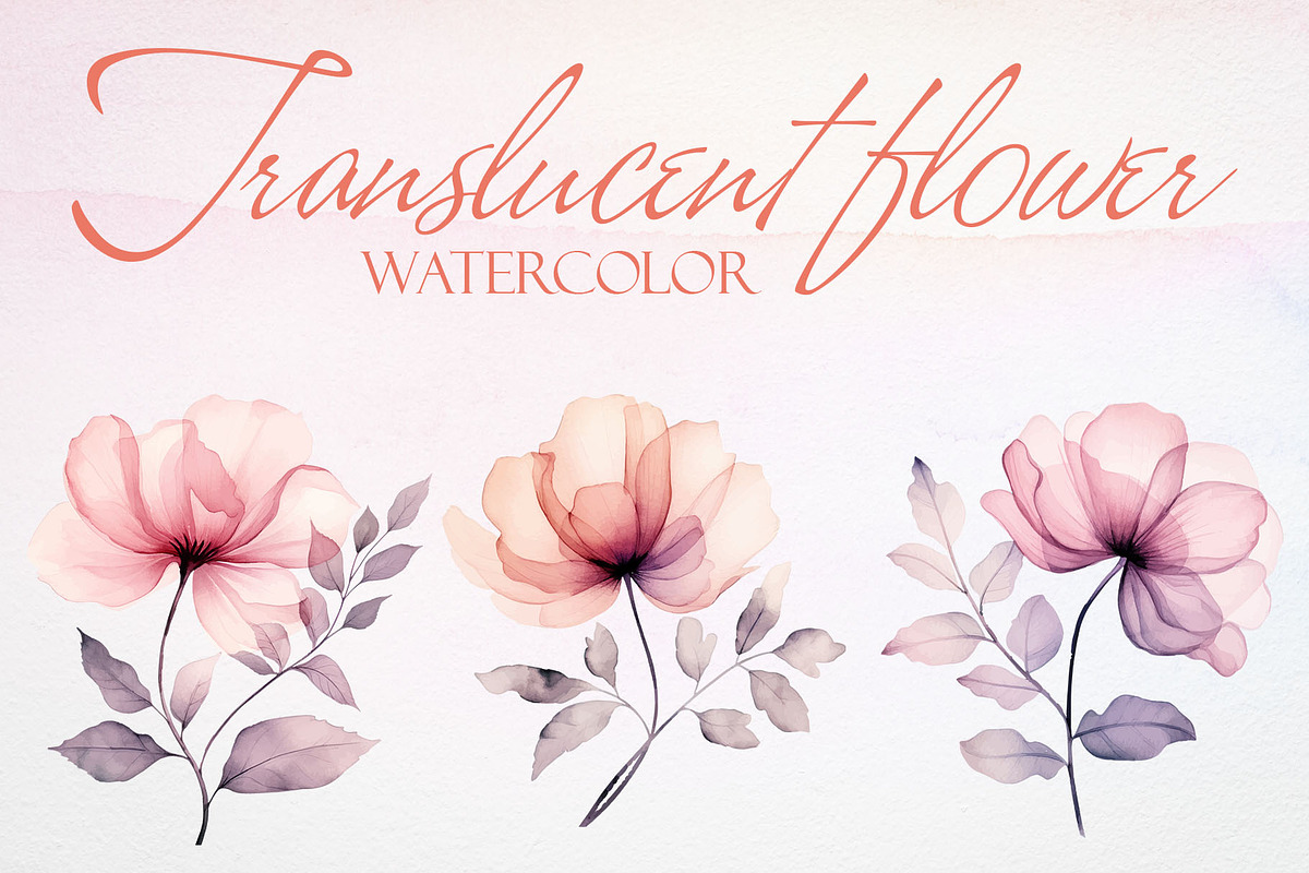 Watercolor Translucent Flower Vector, a Pattern Graphic by Deckar_art (Photo 1 of 4)