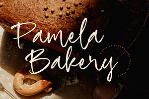 Pamela Bakery Font, a Script Font by Timurtype