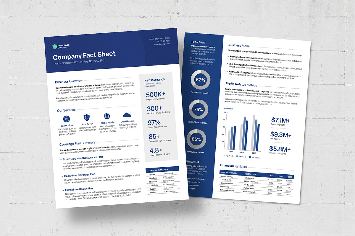 Factsheet Template, a Flyer Template by BrandPacks