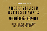Pineforest - Classic Condensed Font, a Sans Serif Font by Almarkhatype (Thumbnail 10 of 11)