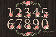 Coral Wedding Flower Numbers, an Illustration by Amanda Ilkov (Thumbnail 2 of 5)