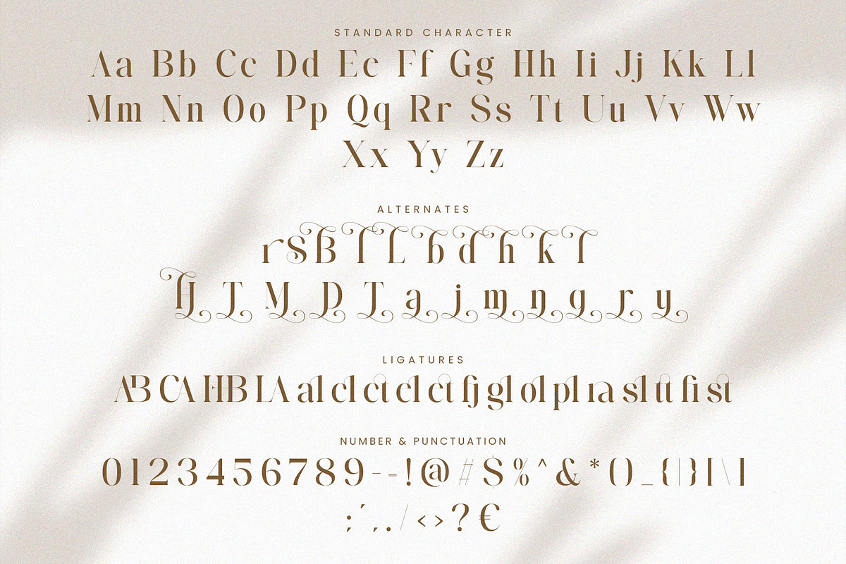 Salindra - Elegant Modern Serif Font, a Serif Font by Jimoji (Photo 7 of 7)
