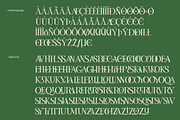 Louise - Elegant Ligatures Serif, a Serif Font by Fortunes Co (Thumbnail 6 of 14)