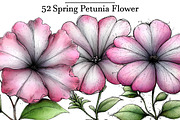 Spring Petunia Flower Clipart, an Illustration by DreamArtGraphic (Thumbnail 1 of 5)